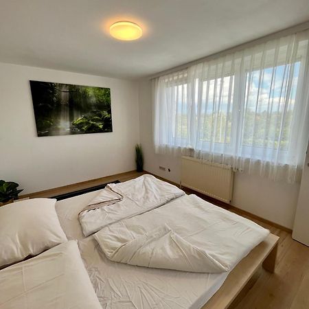 Atemberaubendes Apartment + Pool Vídeň Exteriér fotografie